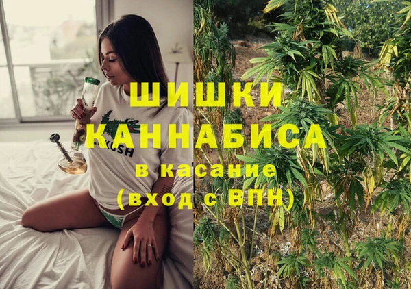 ешки Богданович